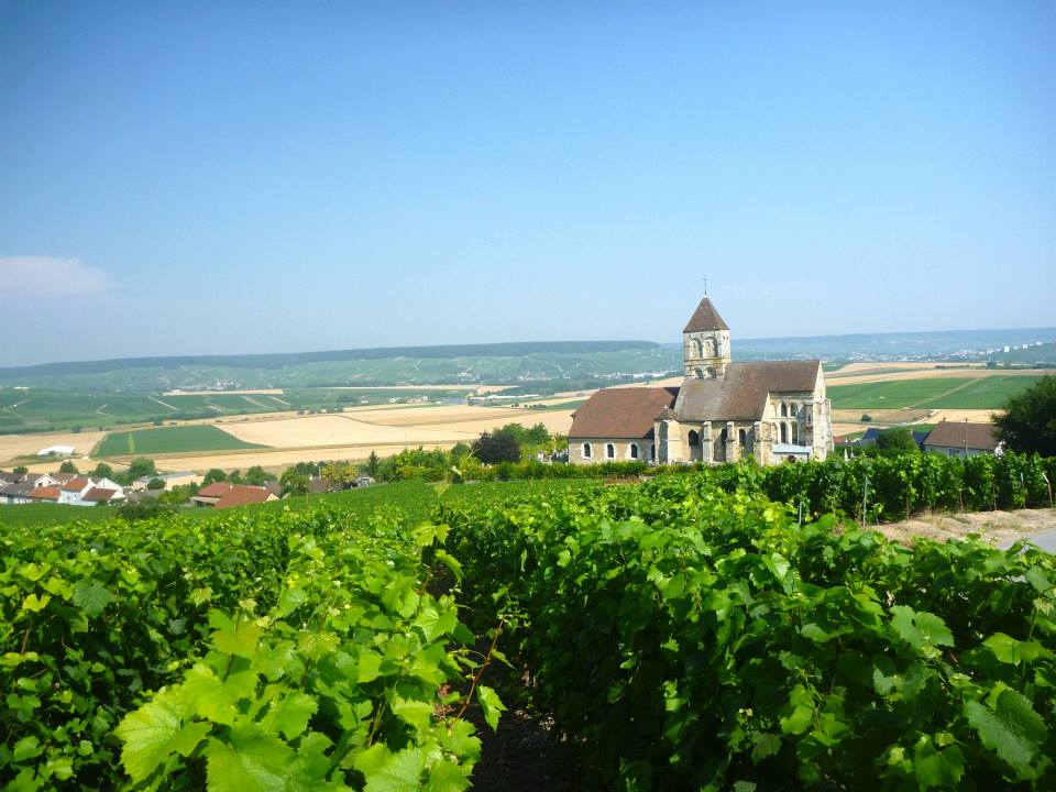 Sint-Martinus den XIIde - Kamp Curfoz JIN 2013